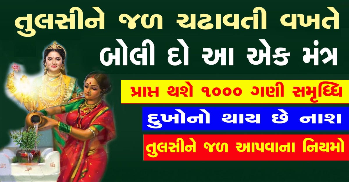 તુલસીમાં જળ ચઢાવતી વખતે બોલો આ મંત્ર, પ્રાપ્ત થશે 1000 ગણી વધારે સમૃદ્ધિ, જાણો નિયમો