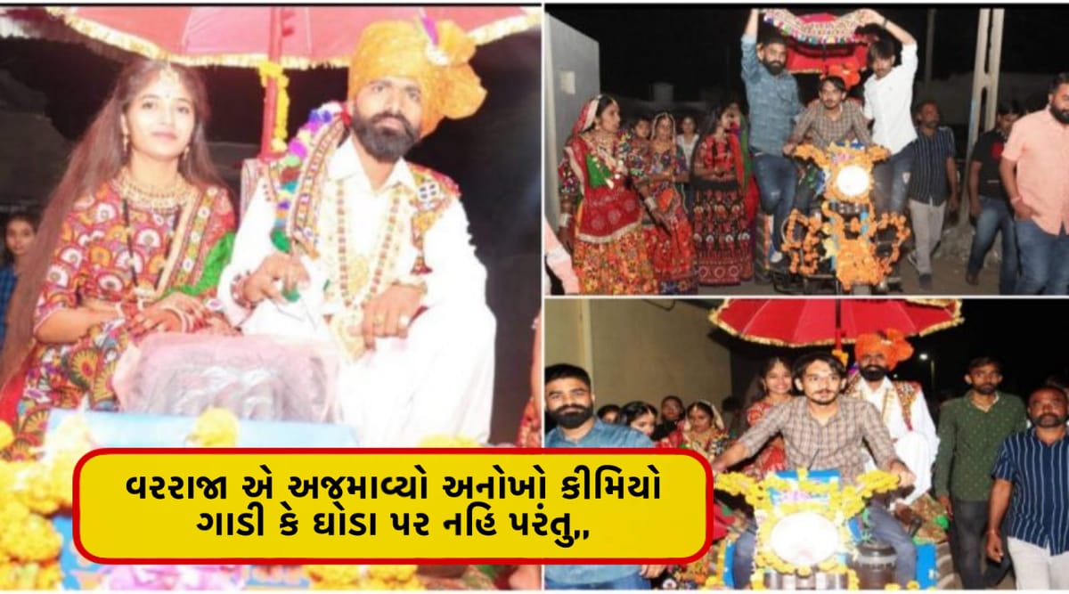 વરરાજા એ અજમાવ્યો અનોખો કીમિયો ગાડી કે ઘોડા પર નહિ પરંતુ….