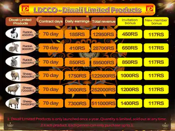 ભચાઉમાં એક હજાર જણને આઠેક કરોડનો ચૂનો ચોપડાયો