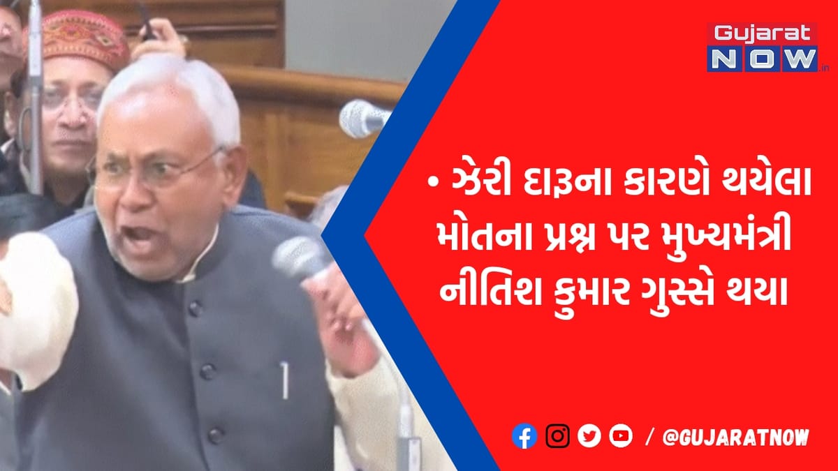 વિધાનસભાની અંદર જ કોઈ CMનો આવો ગુસ્સો નહીં જોયો હોય, નીતિશ કુમારે કહ્યું તમે દારૂ પીવા લાગ્યા
