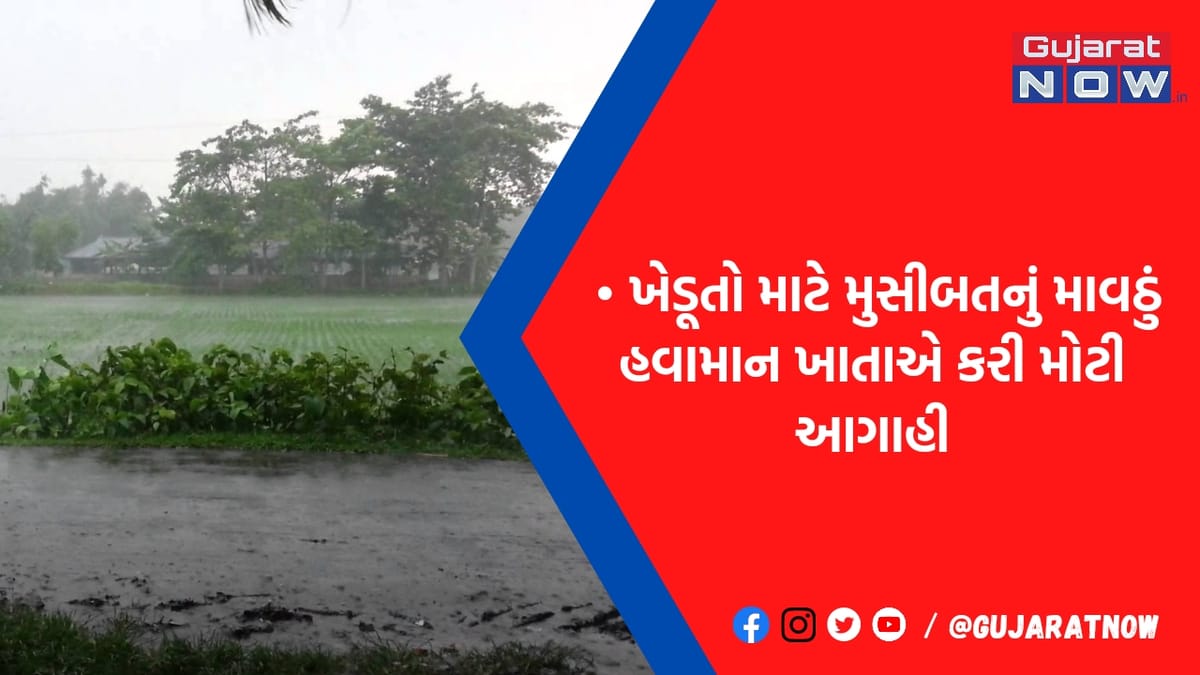 ખેડૂતો માટે મુસીબતનો 'વરસાદ': વોલમાર્ક લો પ્રેશર સિસ્ટમ સક્રિય થતાં આ વિસ્તારોમાં પડી શકે માવઠું, જાણો નવી આગાહી