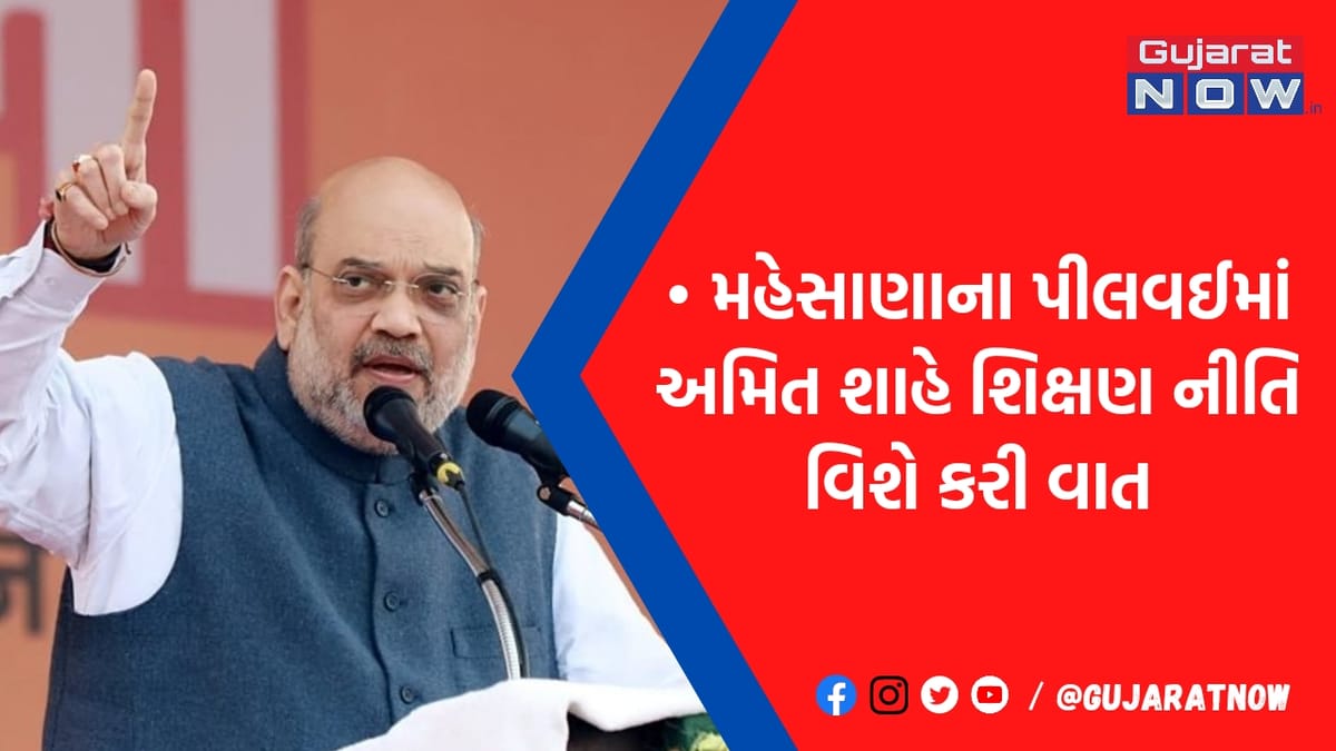 10 દિવસ બેગ વગર આવવાનું, ગોખણિયું જ્ઞાન નહીં...: નવી શિક્ષણનીતિ પર જુઓ શું બોલ્યા અમિત શાહ