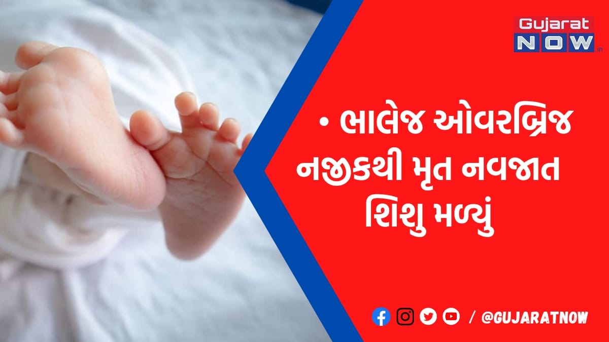 સોસાયટી માટે ડૂબી મરવા જેવું!, આણંદમાં ઓવરબ્રિજ નીચેથી નવજાતની લાશ મળતા ચકચાર