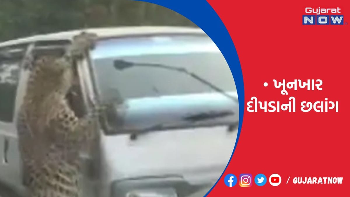 ખૂનખાર દીપડાની છલાંગ!