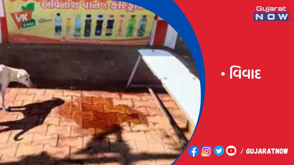 ભાયાવદરમાં ગાળ ન બોલવા મુદ્દે શખ્સે પિતા-પુત્રને છરી ઝીંકી