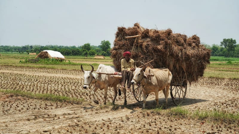 રાજ્યના 21 લાખ ખેડૂતોનું નામ PM કિસાન યોજનામાંથી થયું બહાર, અહીં ફટાફટ ચેક કરો તમારૂ નામ છે કે નહીં?