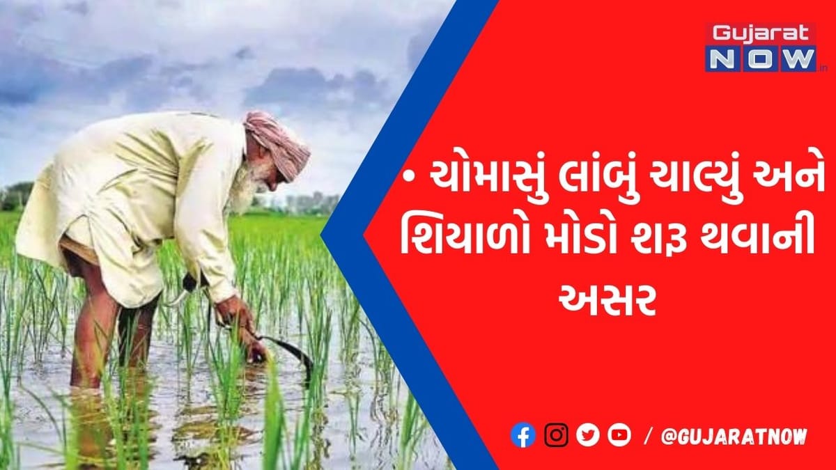 પાકના વાવેતર, ઉત્પાદન અને આવકનું ગણિત અટપટું બન્યું