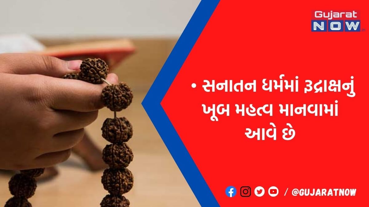 રુદ્રાક્ષ પહેરવાથી ક્યારેય નહીં પડે પૈસાની તંગી, રાશી પ્રમાણે પહેરશો તો મળશે અઢળક લાભ