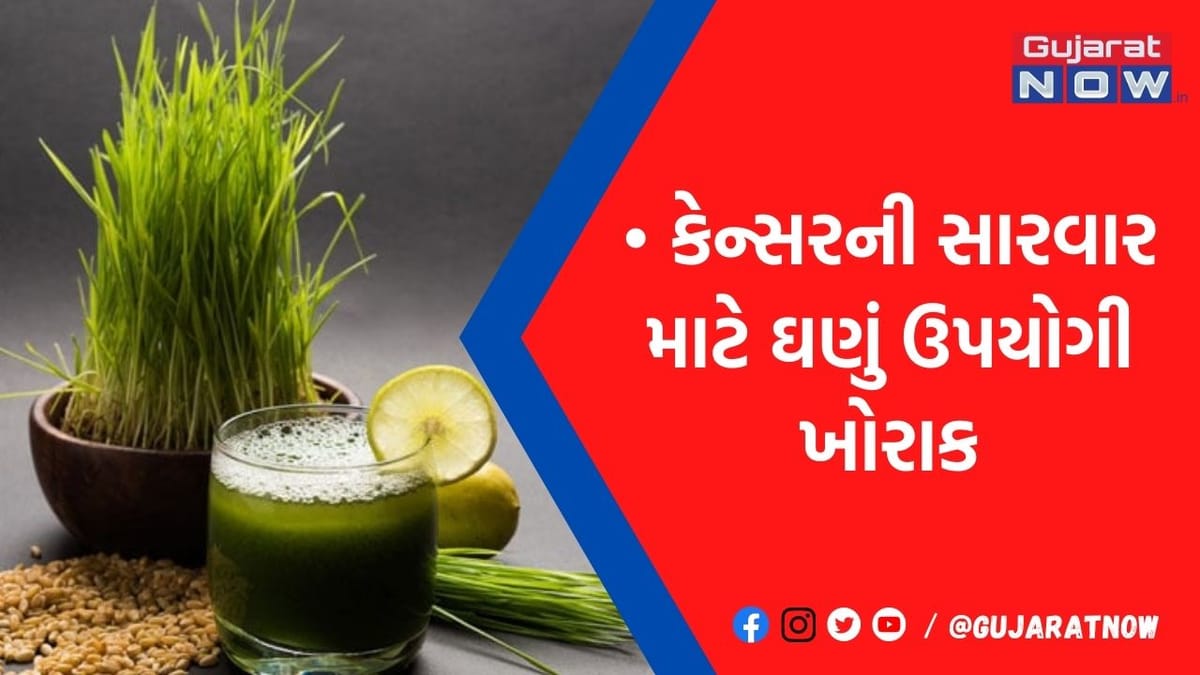 કેન્સરના ગંભીર રોગમાં આ ઘાસનું જ્યુસ બનશે જડીબુટ્ટી