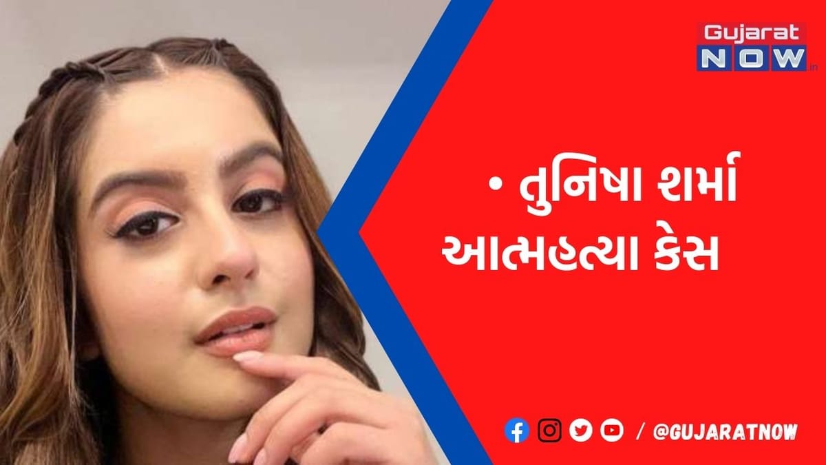 શિજાન ખાનના અન્ય યુવતી સાથે સંબંધો હતા, સિક્રેટ ચેટથી રહસ્ય ખુલ્યું