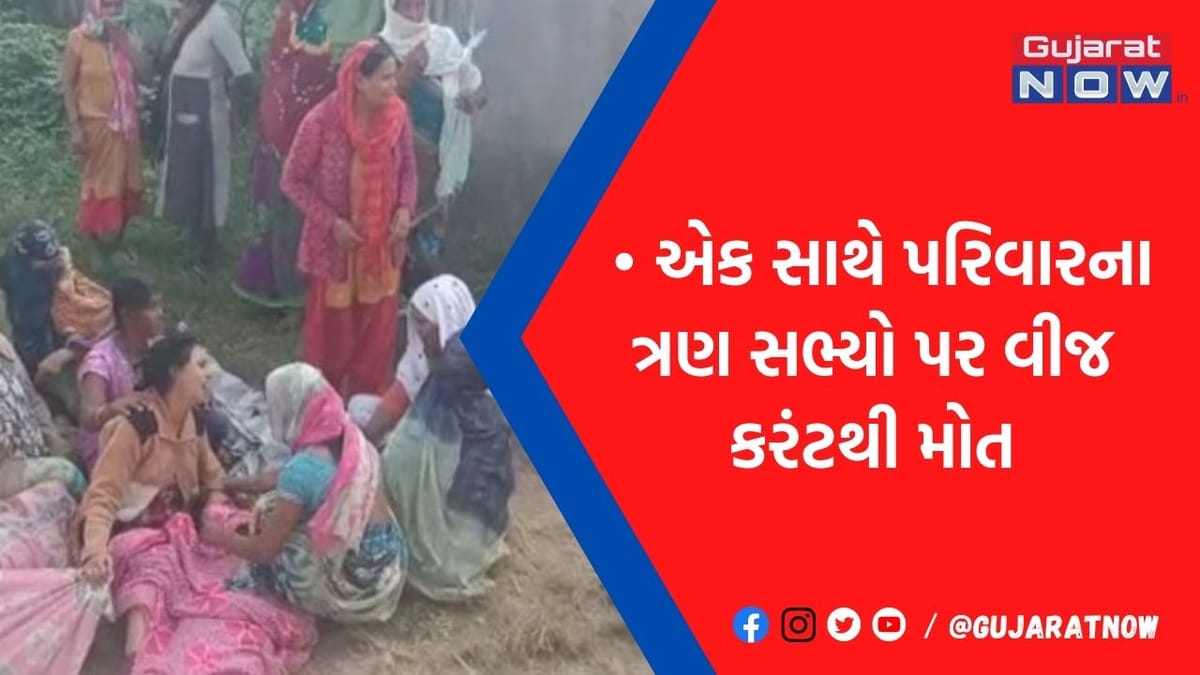 પરિવારનો માળો વિખાયો: પતિને બચાવવામાં પત્ની, માને બચાવવામાં પુત્રએ ગુમાવ્યો જીવ, ઘટના જાણીને ધ્રુજી જશો