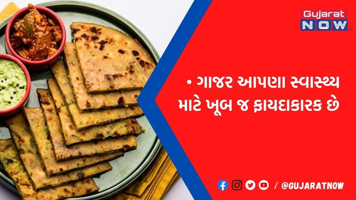 આ શિયાળામાં ગાજરનો હલવો નહીં ગાજરના પરાઠા ખાઓ, નોટ કરી લો રેસીપી