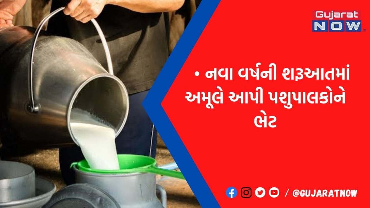 ન્યૂયર પર પશુપાલકોને અમૂલ ડેરીની ભેટ: દૂધની ખરીદીમાં જુઓ કેટલો ભાવ કર્યો