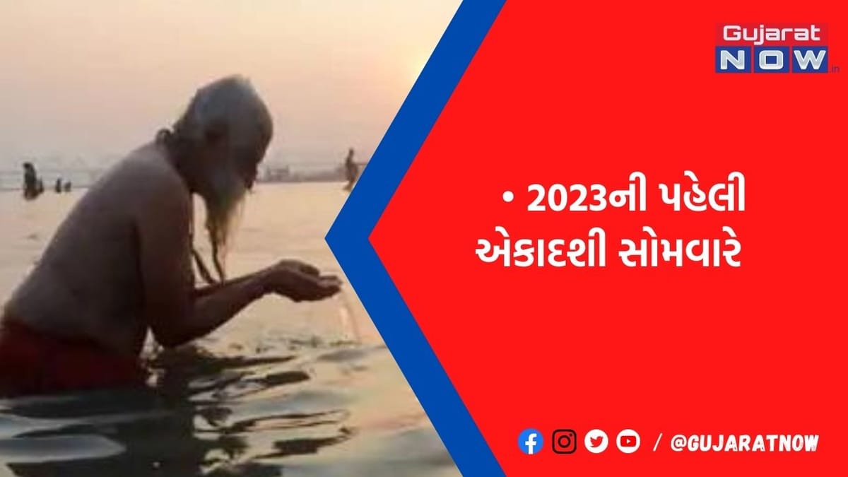 પુત્રદા એકાદશી પર પાણીમાં તલ મિક્સ કરીને તલનું દાન આપવાથી પુણ્ય મળે