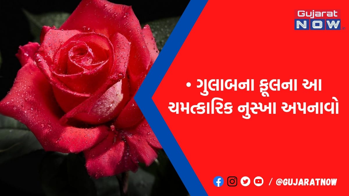 દેવાથી થઇ ગયા છો પરેશાન! તો ઘરમાં અપનાવો ગુલાબના આ ચમત્કારિક ટોટકા, આવી જશે સુખ-સમૃદ્ધિ