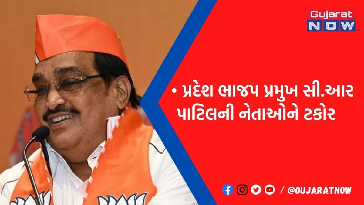 ડેટા બેંક વિશે પાટીલ બોલ્યા 'હું હોઉં કે ના હોઉં...., શિસ્ત સમિતિમાં જુઓ કોનો, કોનો સમાવેશ