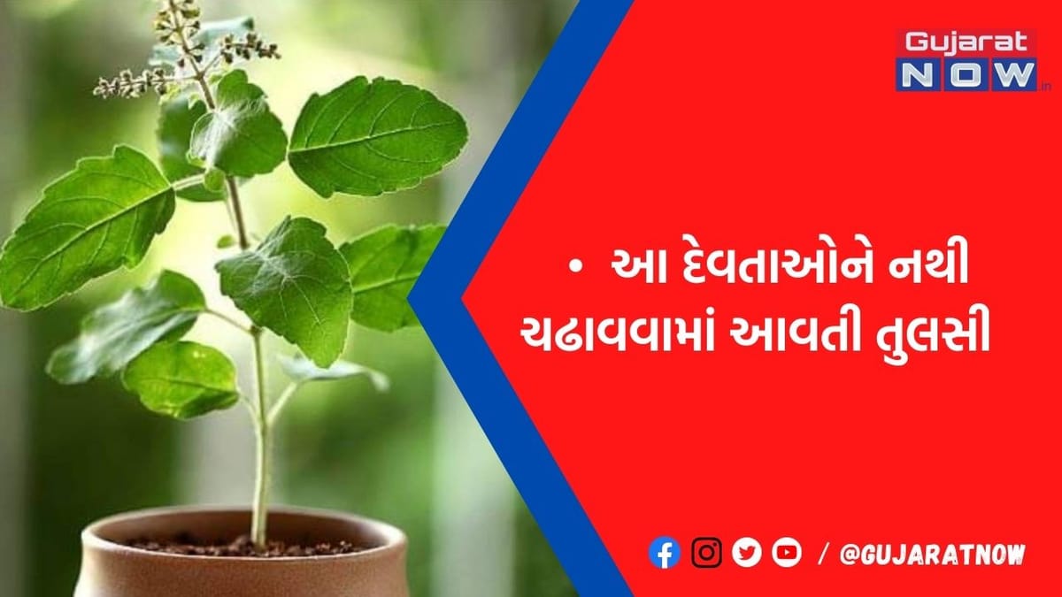 આ દેવતાઓને તુલસી અર્પણ કરવાથી જીવનમાં આવી શકે છે મુશ્કેલી, કરવો પડશે તેમના ક્રોધનો સામનો