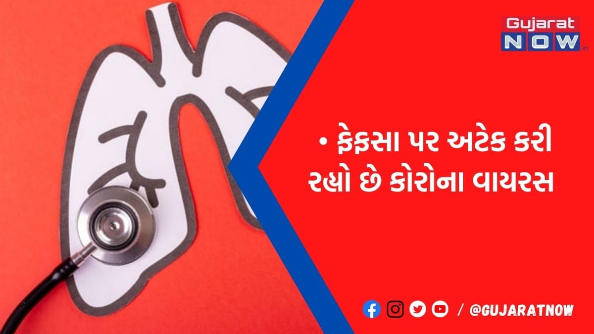 શું તમારા ફેફસાં પડી ગયા છે કમજોર! તો આજથી અપનાવો આ ઘરગથ્થુ ઇલાજ, કોરોના કંઇ જ નહીં બગાડી શકે