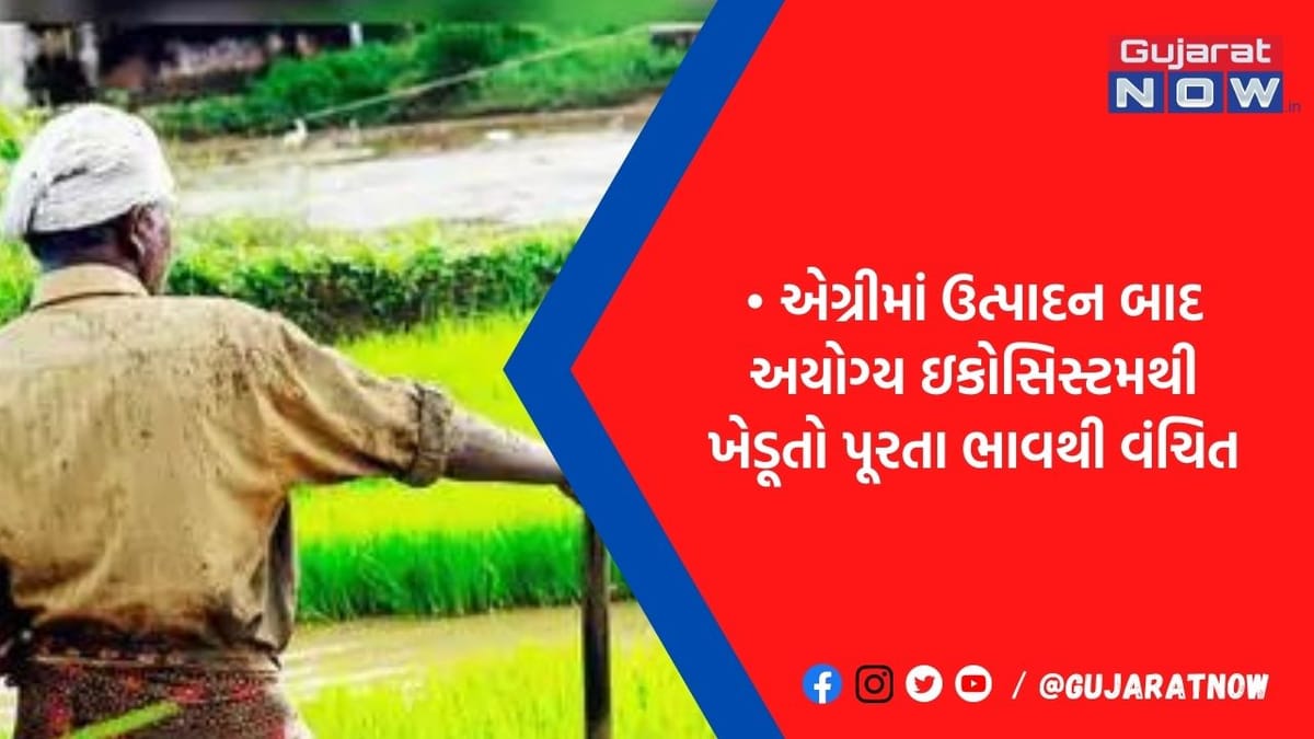 એગ્રીમાં લણણી બાદનું નુકસાન 10થી 25 ટકા, ટેક્નોલોજીનો ઝડપી વ્યાપ વધે તે જરૂરી