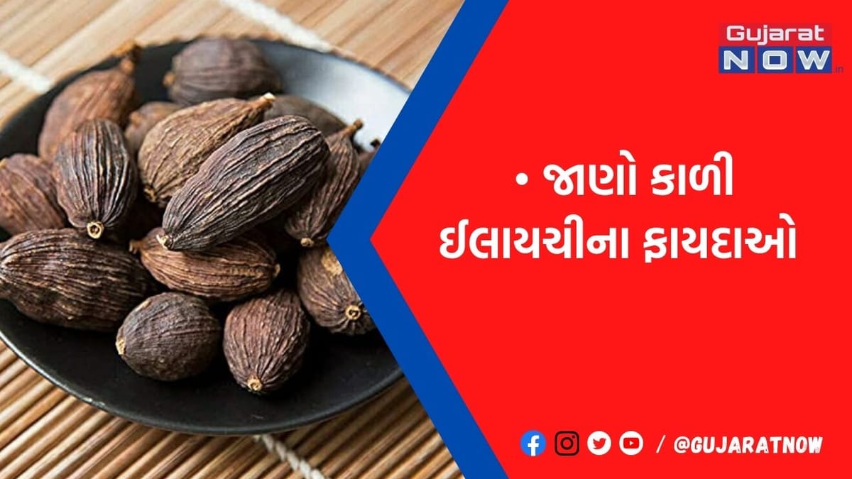 સ્વાસ્થ્ય માટે વરદાન સમાન છે કાળી ઈલાયતી, આ જીવલેણ બીમારીઓને દૂર કરવામાં છે ફાયદાકારક