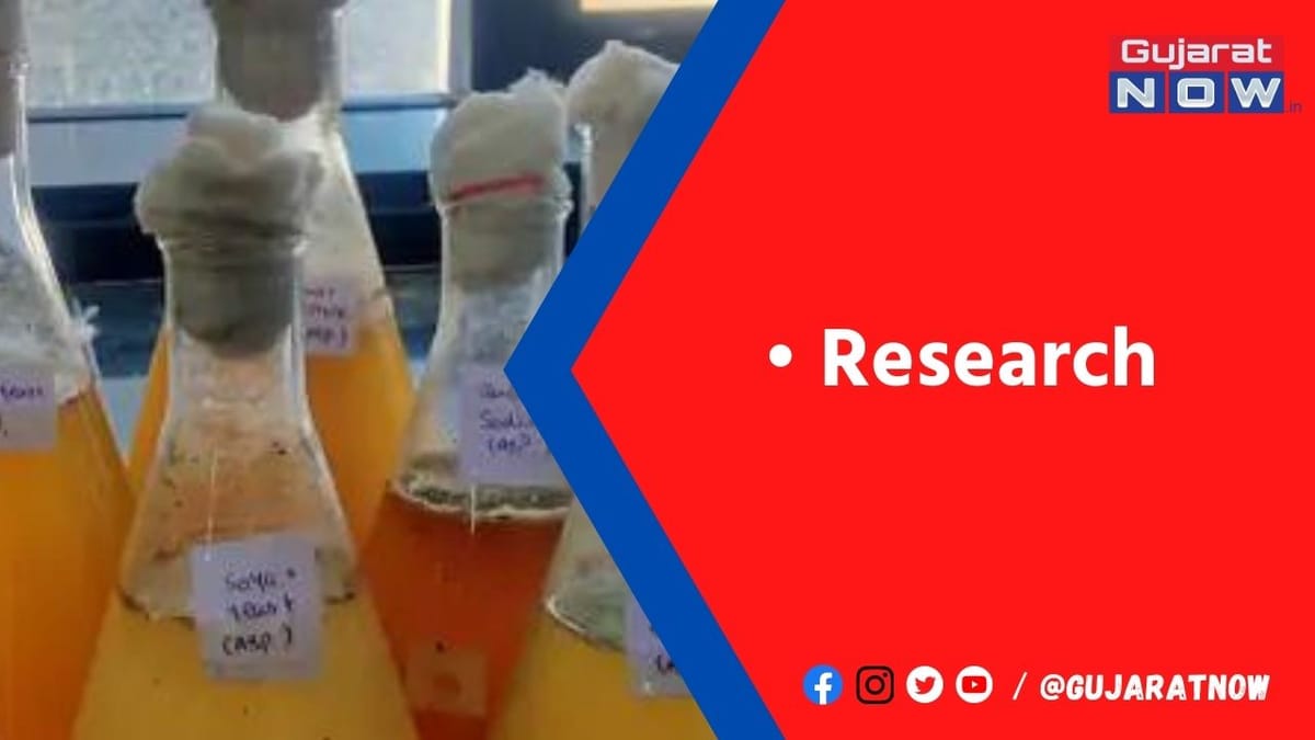 કેમિકલને બદલે ફૂગમાંથી ડિટરજન્ટ બનાવાયો