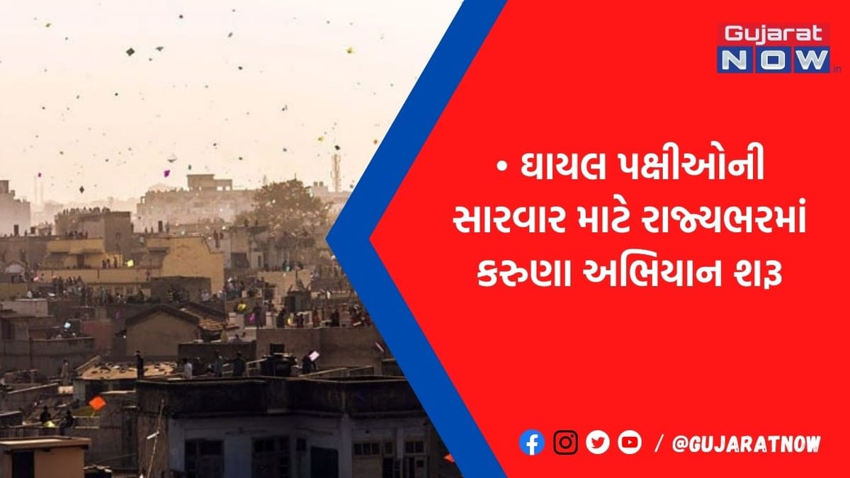 પતંગ રસિયાઓ જીવ દયા માટે આ સમયે પતંગ ન ઉડાવો