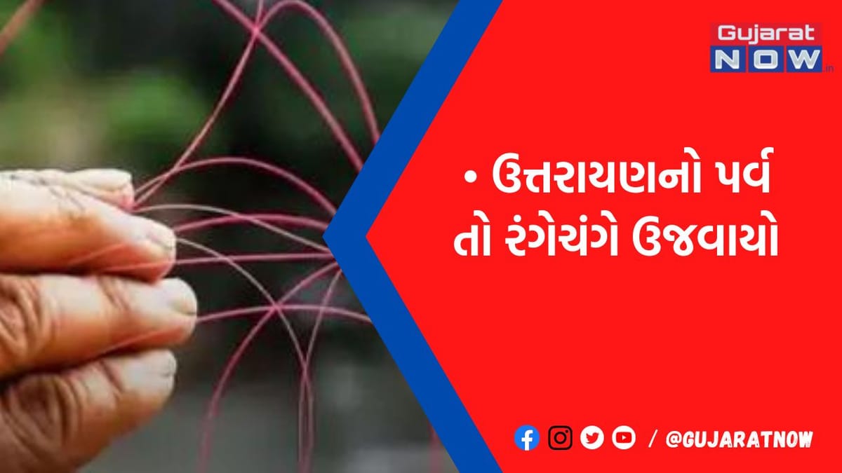 રાજ્યમાં દોરી બની કાતિલ, 6નાં કમકમાટીભર્યાં મોત