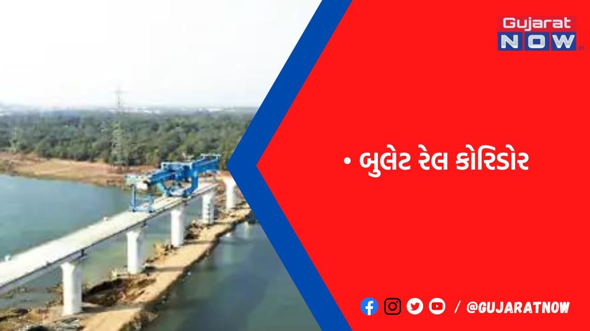 ગુજરાતમાં પાર નદી પર બુલેટ ટ્રેનના સ્પાન મુકવાનું શરૂ કરાયું