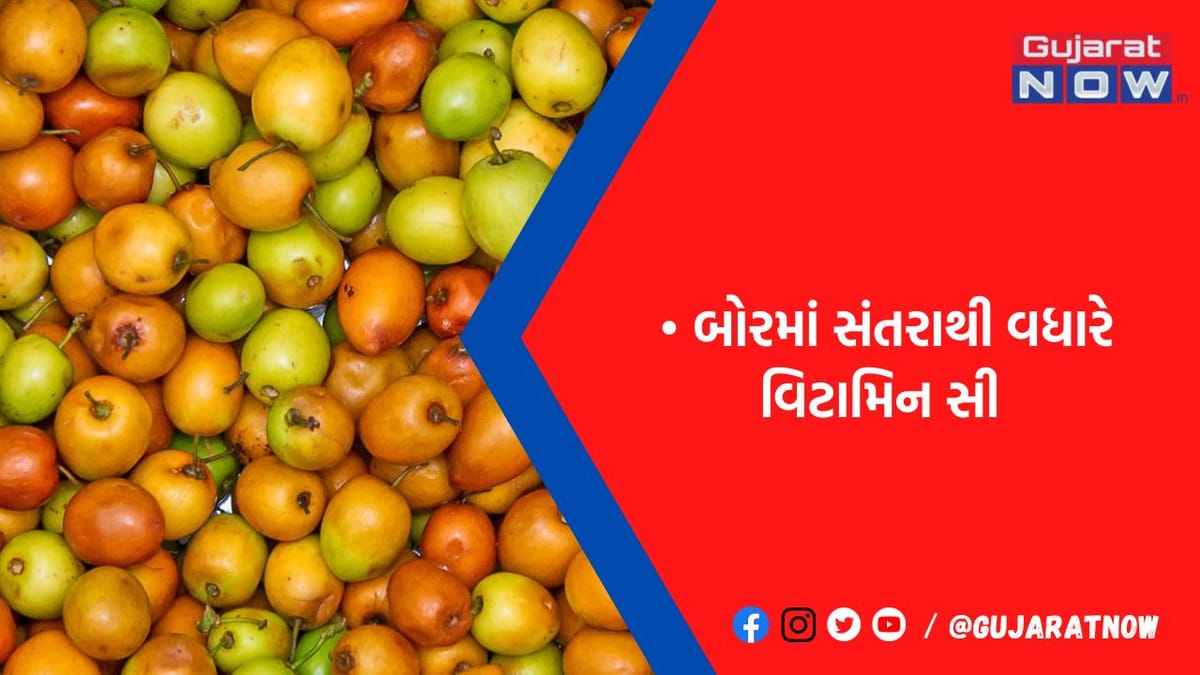 રોગપ્રતિકારક શક્તિમાં વધારો, તો ચિંતા પણ દૂર થશે અને ડેન્ડ્રફને દૂર કરવા માટે બેસ્ટ