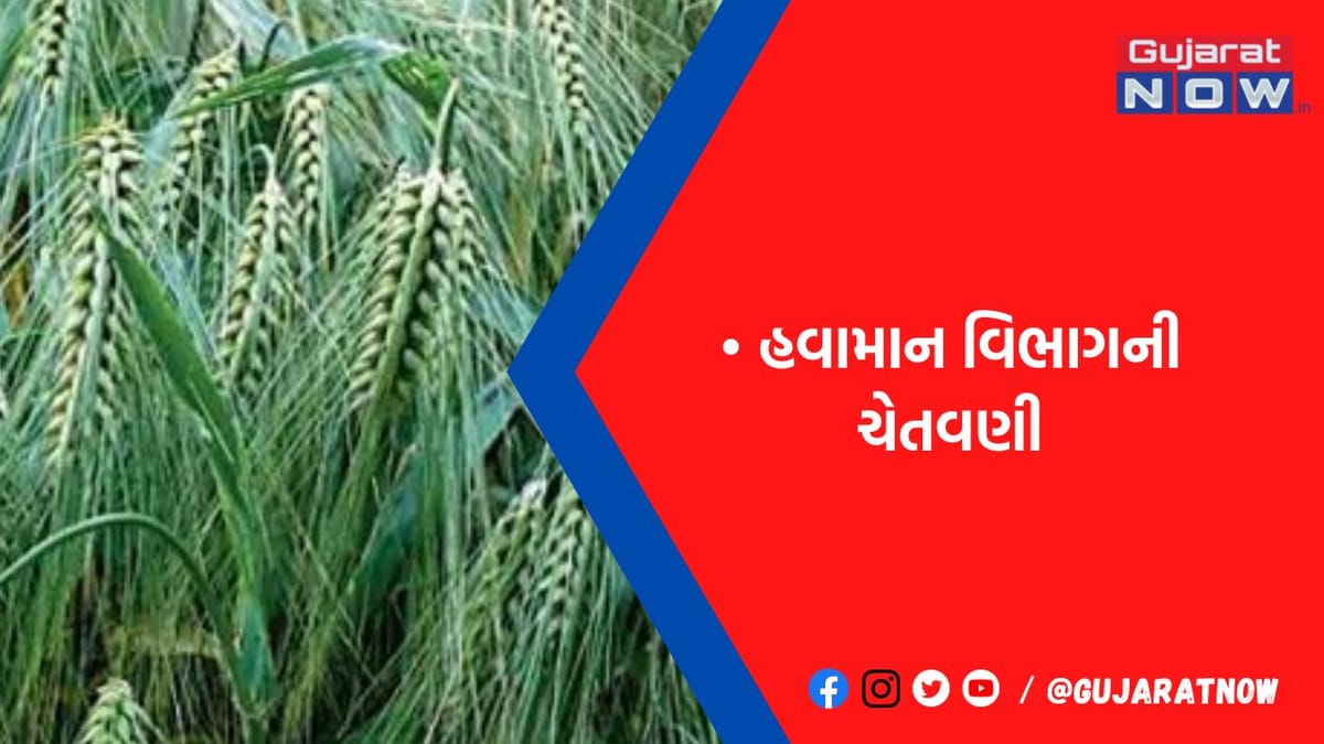 ગરમીથી પાકને ખતરાને લઇને કેન્દ્ર એલર્ટ, કૃષિ વિજ્ઞાનીઓ ફિલ્ડમાં ઉતર્યા
