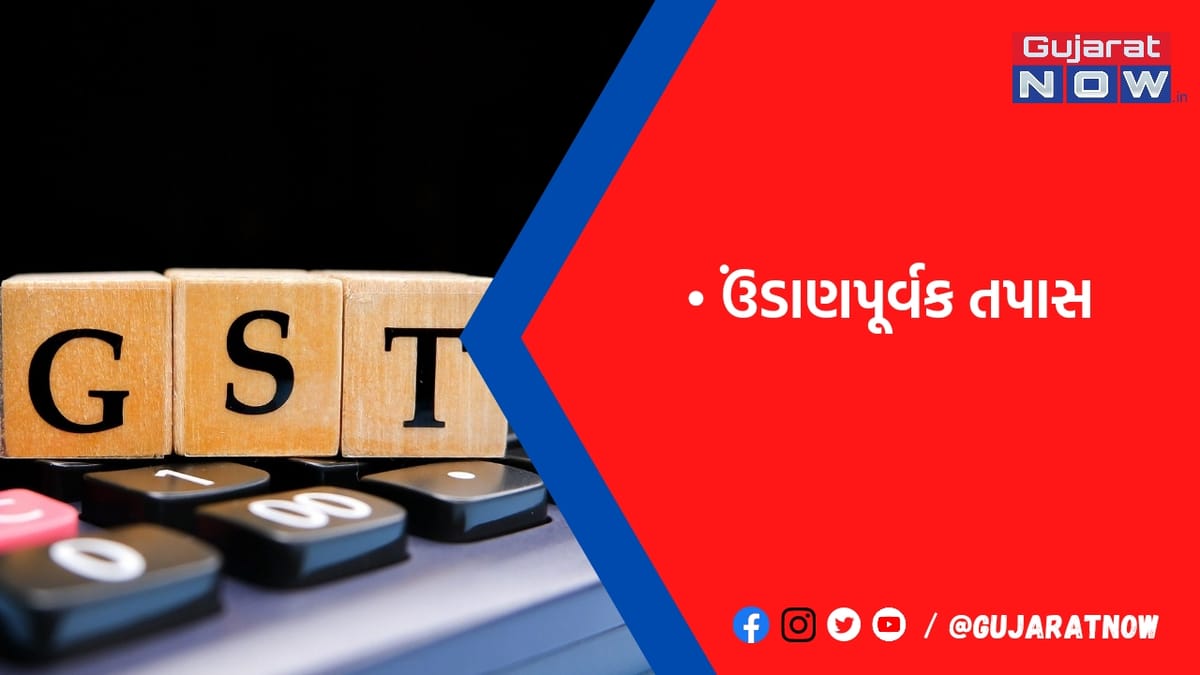 GSTના સોફ્ટવેરમાં નામ નખાતા જ હવે બોગસ પેઢી પકડાઈ જશે