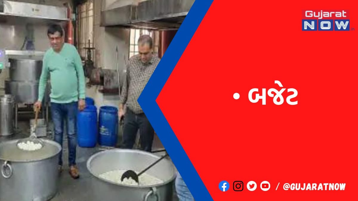 સૌરાષ્ટ્રના ઉદ્યોગ માટે બજેટનો સ્વાદ મધુરો, સોના-ચાંદી માર્કેટને વરખ ન ચઢાવ્યું, 10 લાખ કરદાતાના મોં મીઠા થયા
