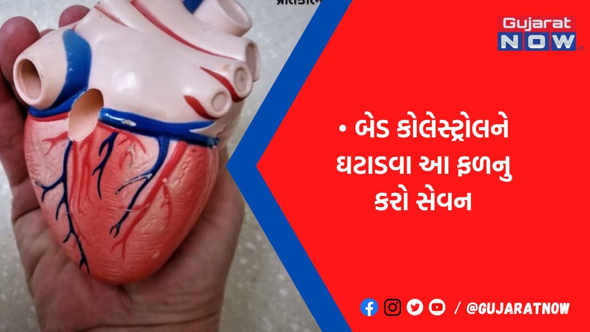 શરીરમાં જામેલા ખરાબ કોલેસ્ટ્રોલને ઘટાડવા ખાવ આ ફળો, નહીં રહે હાર્ટ એટેક કે સ્ટ્રોકનો ખતરો