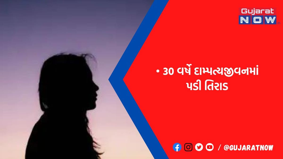 વાસણના ઘા કરી શિક્ષિકા પાસે પૈસાની માંગણી કરી પતિનો ત્રાસ