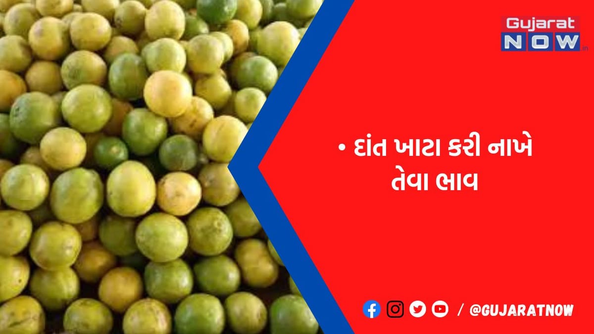 ડિમાન્ડ વધતા લીંબુનો કિલોનો ભાવ રૂ.90એ પહોંચ્યો