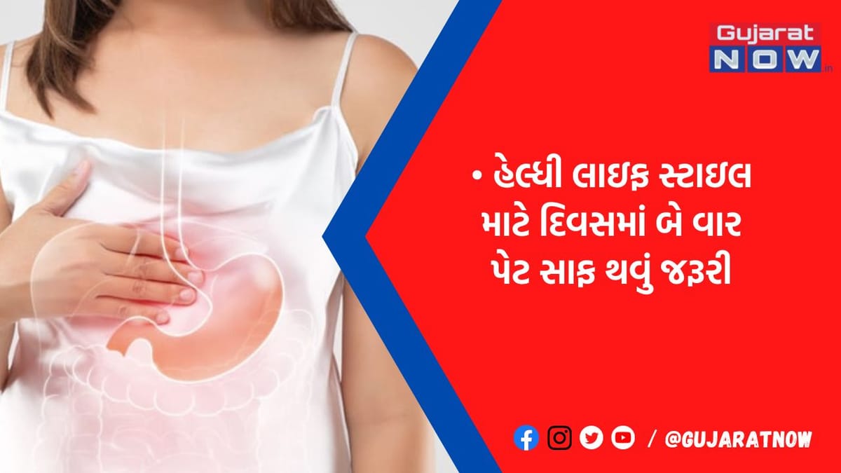 પેટ સાફ તો દરેક રોગ રહેશે દૂર: કબજિયાતથી બચવું હોય તો આજથી જ આ ખાવાનું છોડી દેજો
