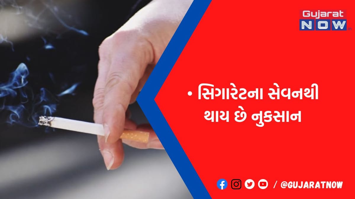વધુ પડતી સિગારેટ પીવાની છે આદત? તો સાવધાન, આજથી જ ફેફસાંને હેલ્ધી રાખવા ડાયટમાં સામેલ કરો આ ચીજ