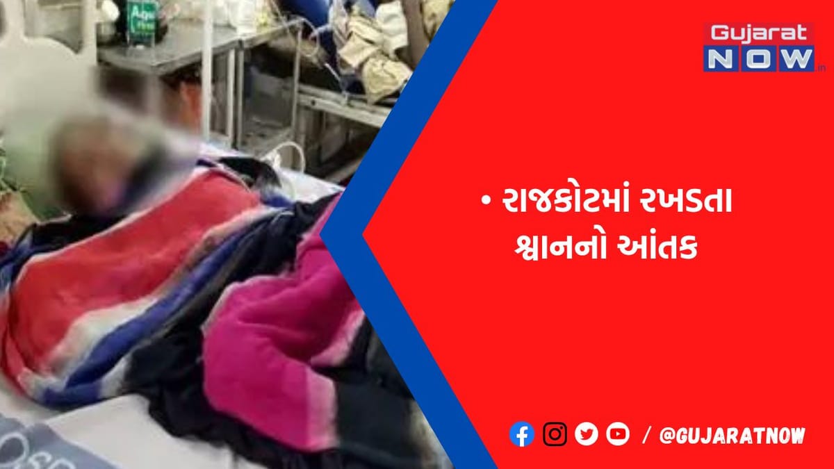 રસ્તા પર રમતા બાળકને બટકા ભર્યા, સ્થાનિકોએ મહામહેનતે બાળકને બચાવ્યુ