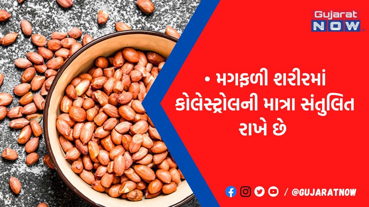 અનેક બીમારીથી છૂટકારો મેળવવામાં ગુણકારી સાબિત થશે મગફળી, તેના ફાયદા જાણી ચોંકી જશો