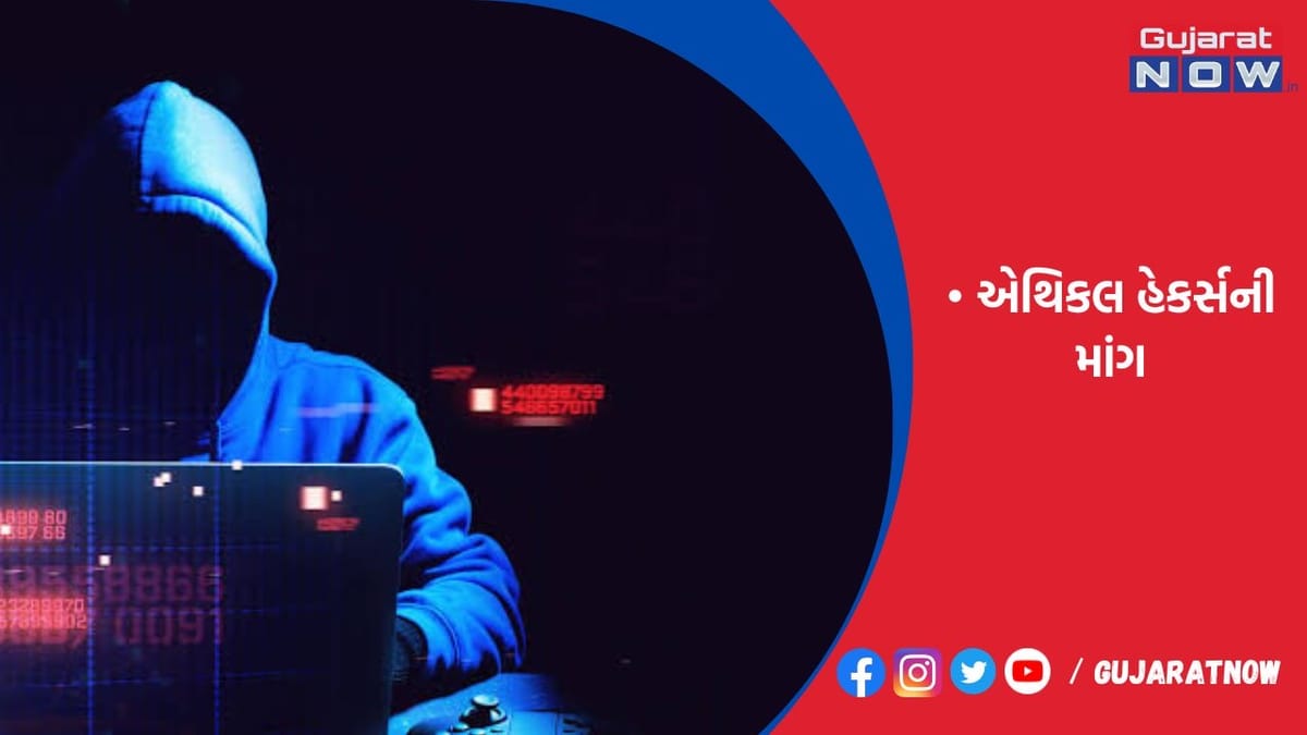ટેક કંપનીઓમાં બગ્સ શોધી આપતા હેકર્સની માગ વધી