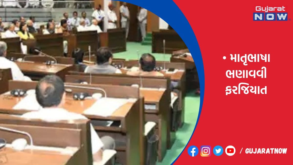ગુજરાતમાં ગુજરાતી સત્તાવાર ભાષા છતાં કેટલીક સ્કૂલો ભણાવતી નથી : શિક્ષણમંત્રી