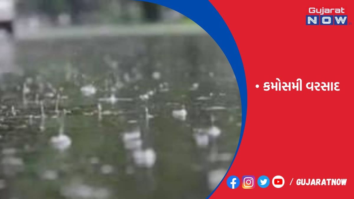 રાજ્યના 27 જિલ્લાના 111 તાલુકામાં વરસાદ