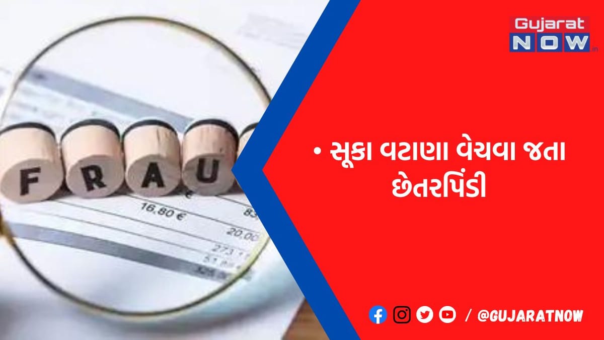 રાજકોટના ખેડૂતે રૂ.2.88 લાખના વટાણા મોકલ્યા