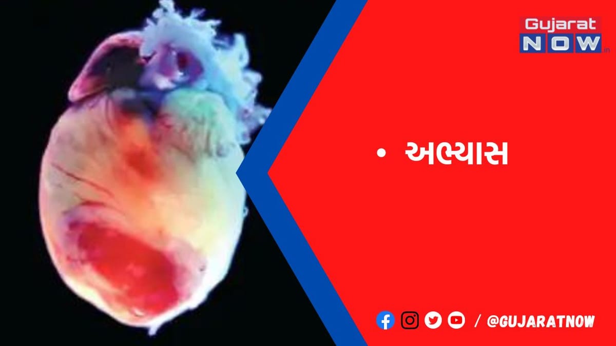 હૃદયના ધબકારા મગજને ચિંતાનો સંકેત આપે છે