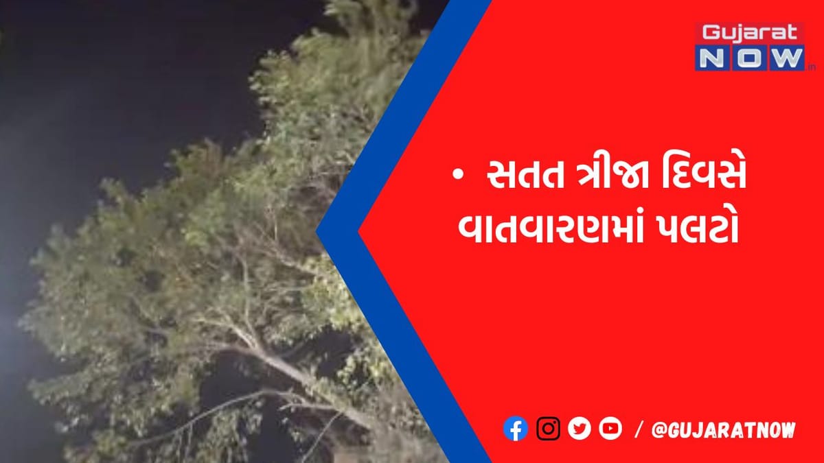 ભાવનગરમાં ભારે પવન સાથે ધૂળની ડમરી ઉડી