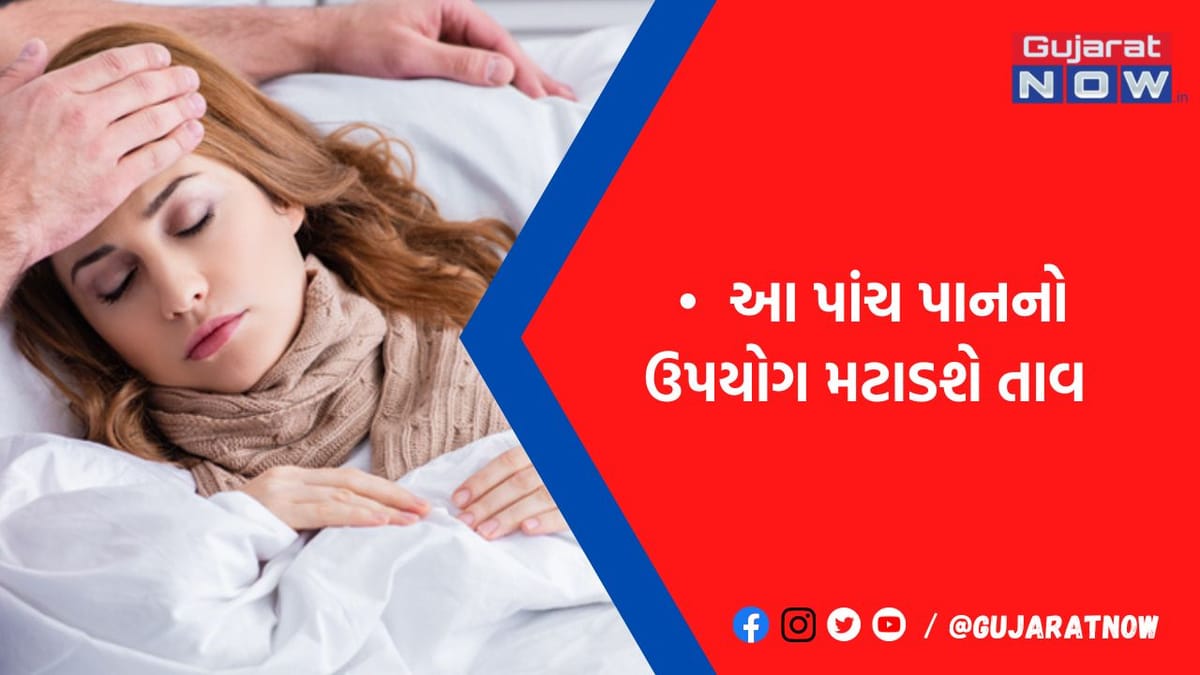 ગમે તેવો તાવ મટાડી શકે છે આ 5 પાનનું સેવન, જાણો તેના ફાયદાઓ વિશે