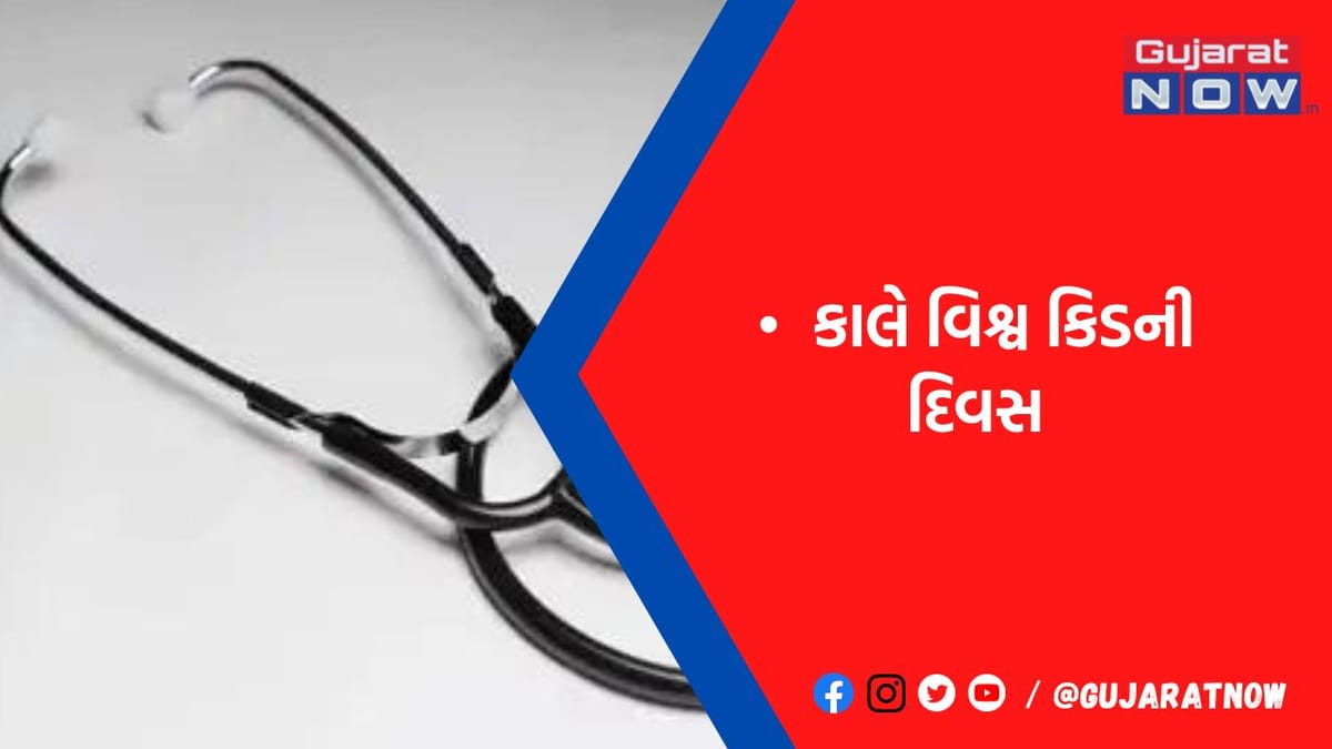 પથરી અને બ્લડપ્રેશર કિડની ફેઈલ્યોરના સૌથી મોટા કારણ - ડો.અમલાણી