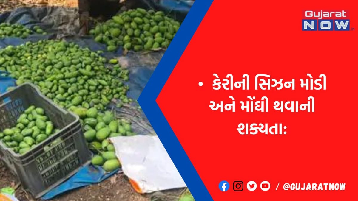 તળાજામાં માવઠું, વાવાઝોડાથી કેરીનો આગોતરા ફાલ ખરી ગયો