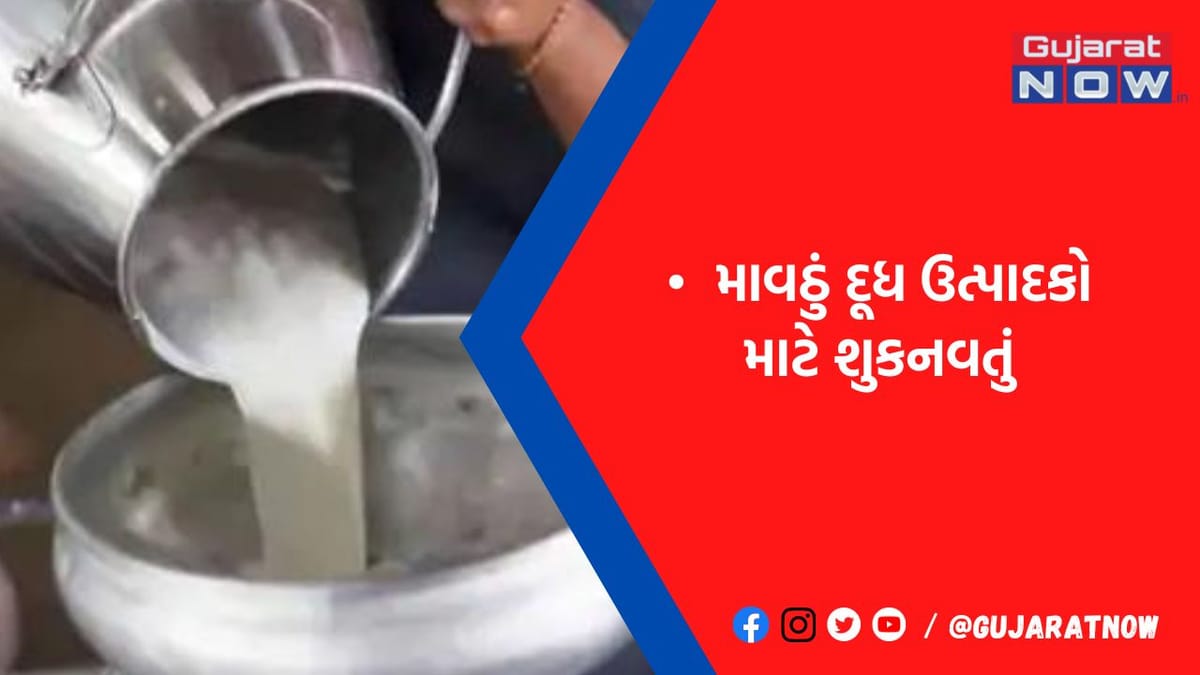 કમોસમી વરસાદને પગલે રાજકોટ ડેરીએ દૂધના ભાવમાં પ્રતિ કિલો ફેટે રૂ.20નો વધારો કર્યો