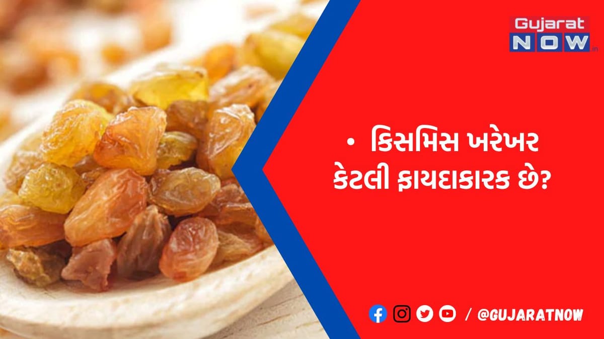 લોહીની ઊણપને દૂર કરવા 'કિસમિસ'નું સેવન થશે લાભદાયી, આયર્ન-વિટામિન જેવાં પોષક તત્વોથી છે ભરપૂર